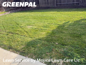 Work completed by local-lawn-care-services-in-Elk Grove-CA