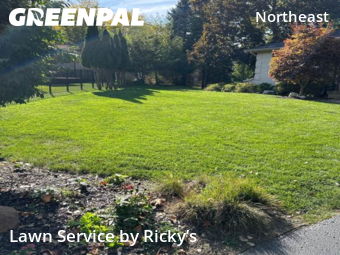 Yard Mowing nearby Grand Rapids, MI, 