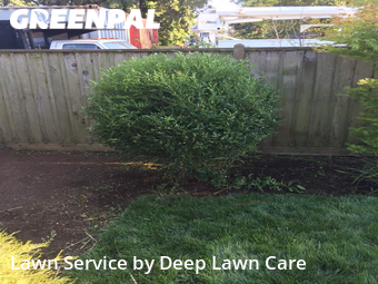 Lawn Service nearby Eugene, OR, 