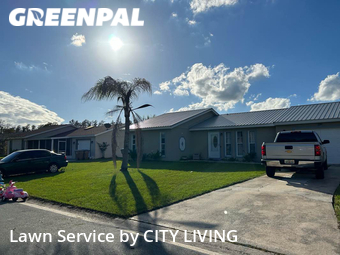 Grass Cut nearby Kissimmee, FL, 