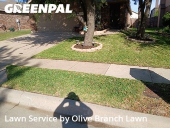Lawn Care nearby Fort Worth, TX, 