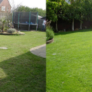 the-yard-cutting-businesses-in-West Chester-PA