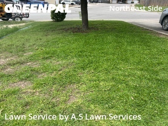 Lawn Mowing nearby Selma, TX, 