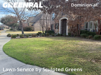 Backyard Landscaping In Frisco,75035,Landscaping Cleanup by Sculpted Greens , work completed in Jan , 2026