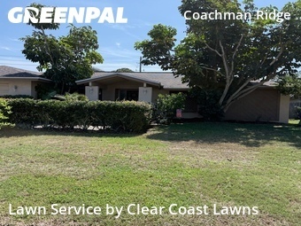 Lawn Mowing nearby Clearwater, FL, 