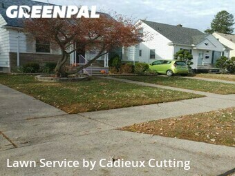 Yard Cutting nearby Roseville, MI, 