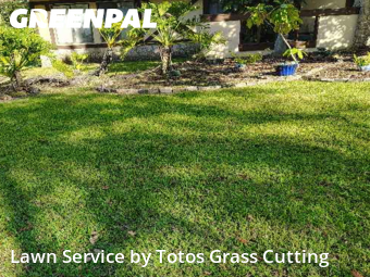 Mowing Services in Wekiwa Springs, 32779, Lawn Maintenance by Totos Grass Cutting, work completed in Nov , 2025
