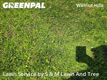 Yard Cutting nearby Columbus, OH, 