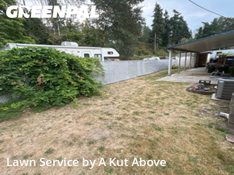 Grass Cut nearby Auburn, WA, 