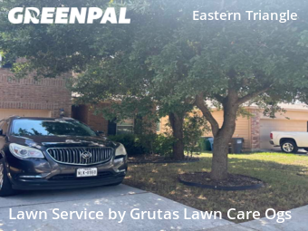 Lawn Mowing Service nearby San Antonio, TX, 