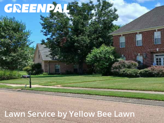 Lawn Mow nearby Olive Branch, TN, 
