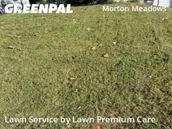 Yard Mowing nearby Omaha, NE, 