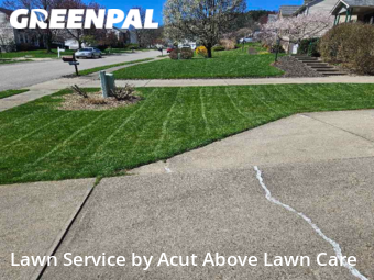 Grass Cut nearby Baden, PA, 