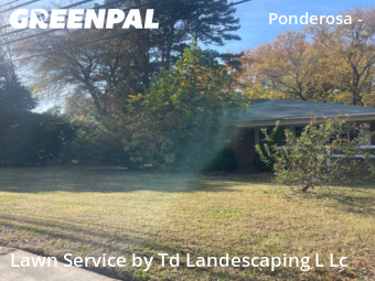 Lawn Care Service nearby Charlotte, NC, 