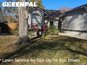 Grass Cut nearby Clearwater, FL, 
