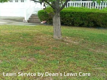 Grass Cut nearby Raleigh, NC, 
