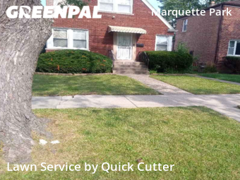 Lawn Service nearby Chicago, IL, 