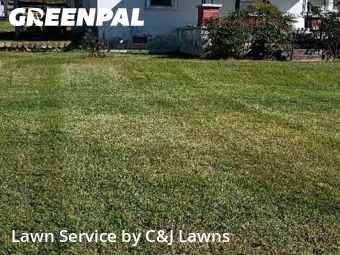 Grass Cutting nearby Nashville, TN, 