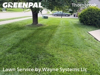 Lawn mowed in Columbia, 65203