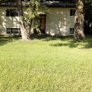cheap-lawn-cutting-businesses-in-Minneapolis-MN