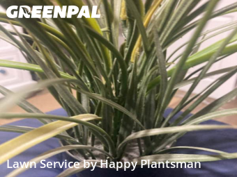 Backyard Mowing in Kettering, 45409, Yard Upkeep by Happy Plantsman, work completed in Oct , 2025