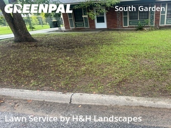 Grass Cut nearby Savannah, GA, 