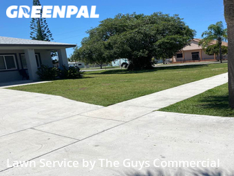 Grass Cutting nearby Dania Beach, FL, 