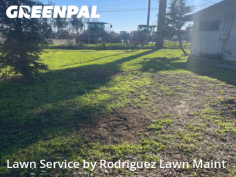 cheap-lawn-cutting-businesses-in-Sanger-CA