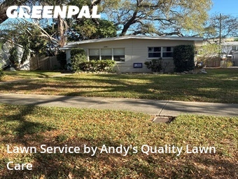 Grass Cut nearby St. Pe Tersbug, FL, 