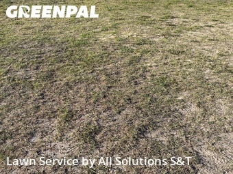 Lawn Maintenance nearby Winter Haven, FL, 
