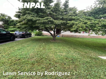 Yard Mowing nearby Old Hickory, TN, 