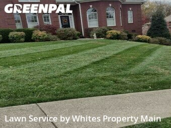 Lawn Mowing nearby Knoxville, TN, 