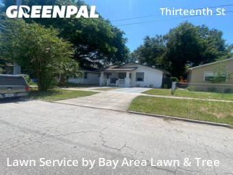 Grass Cut nearby St. Petersburg, FL, 