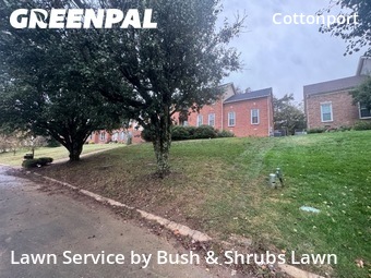 Lawn Mowin Brentwood,37027,Yard Mowing by Bush & Shrubs Lawn, work completed in Nov , 2025