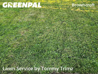 Lawn Care nearby Rochester, NY, 
