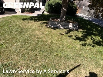 Grass Cut nearby Thornton, CO, 