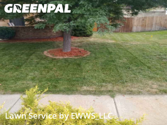 Lawn Mowing nearby Colorado Springs, CO, 