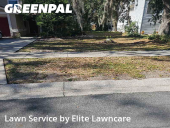 Lawn Cut nearby Tampa, FL, 