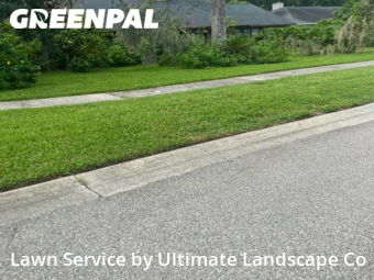 Lawn Cut nearby Brandon, FL, 