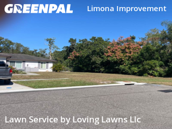 Lawn Service nearby Brandon, FL, 