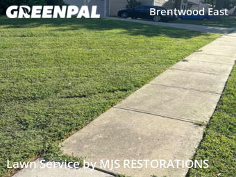 Grass Cutting nearby Lenexa, MO, 