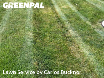 Lawn Cut nearby Independence, MO, 
