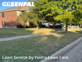 Lawn Cut nearby Cedar Hill, TX, 