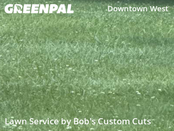 Lawn Care nearby St. Louis, MO, 