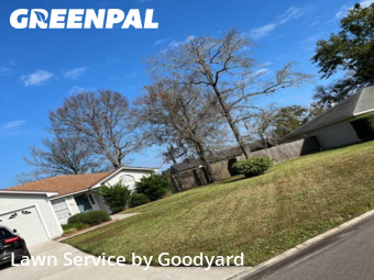 Lawn Cutin Orange Park,32003,Grass Cut by Goodyard , work completed in Dec , 2025