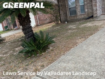 Backyard Landscaping In Pasadena,77504,Landscaping Maintenance by Valladares Landscap, work completed in Mar , 2026