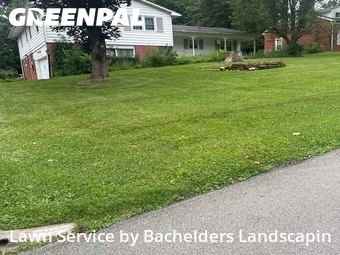 Lawn Cut nearby Mansfield, OH, 