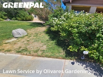 Lawn Mowing nearby Lancaster, CA, 