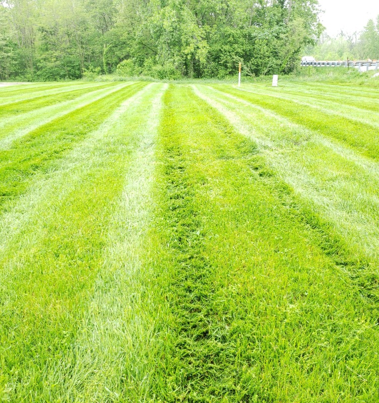 lawn-maintenance-in-Muncie-IN