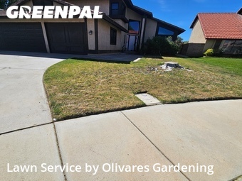 Lawn Mow nearby Palmdale, CA, 